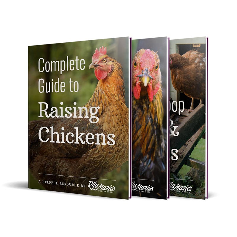 Chicken eBooks